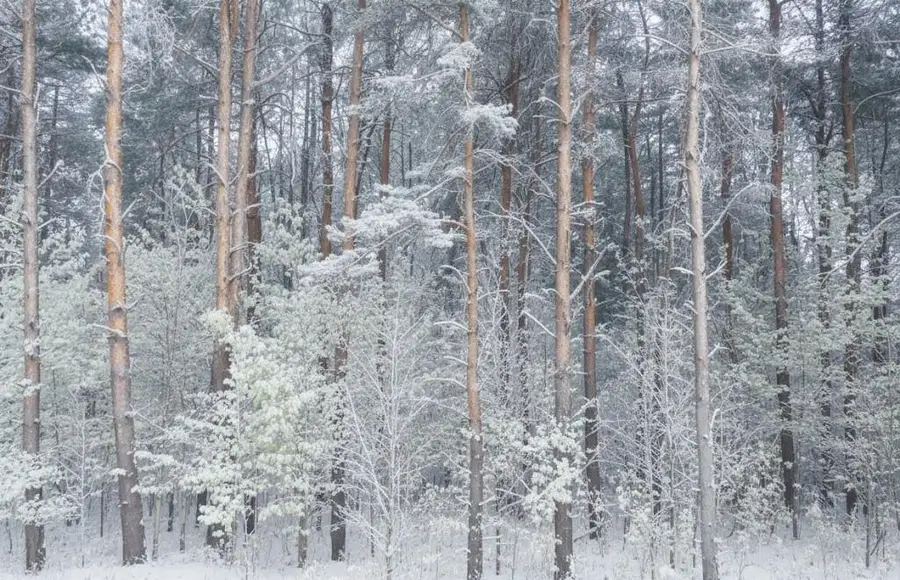 A Garfield, Kingsley, MI 49649 - Image #3