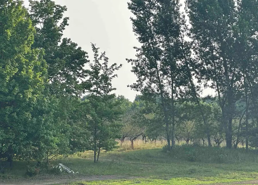 Parcel 8 Karnes RD, Glenarbor, MI 49636 - #3