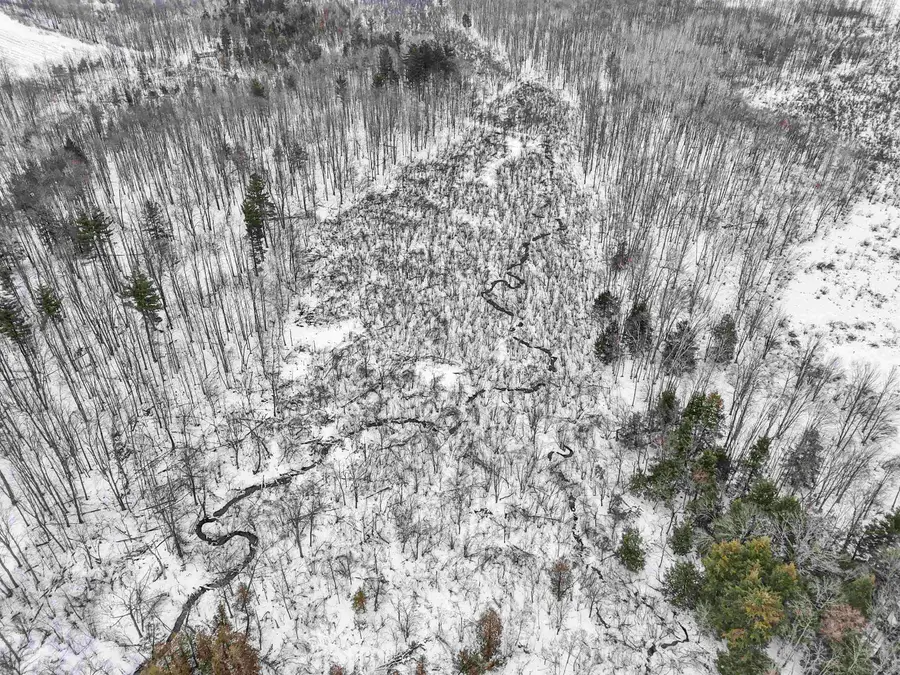 00 17 Mile RD, Evart, MI 49631 - Image #2