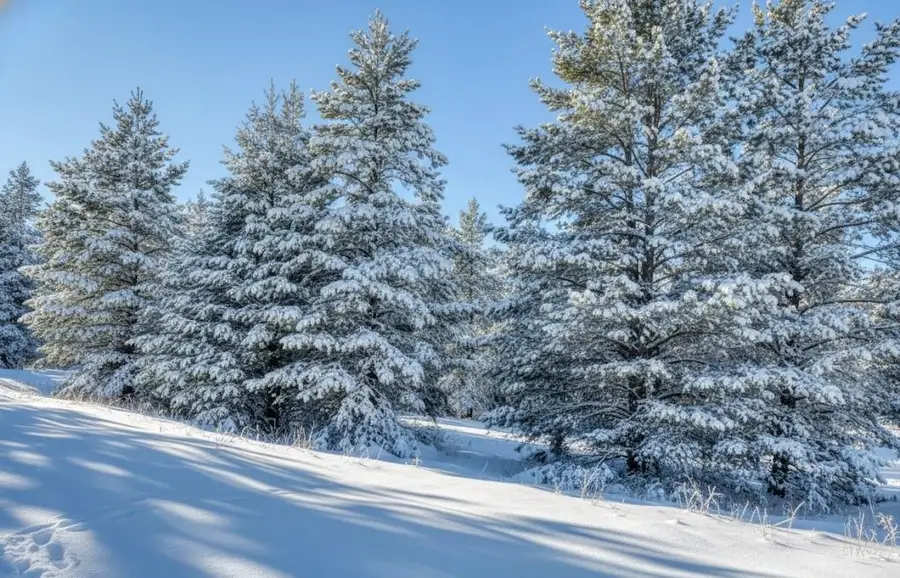 20.71 Spruce Hollow TRCE, Manistee, MI 49633 - Image #3