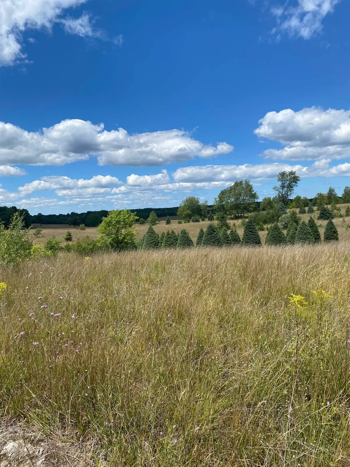 17.5 A Creighton, Boardman, MI 49680 - Image #1