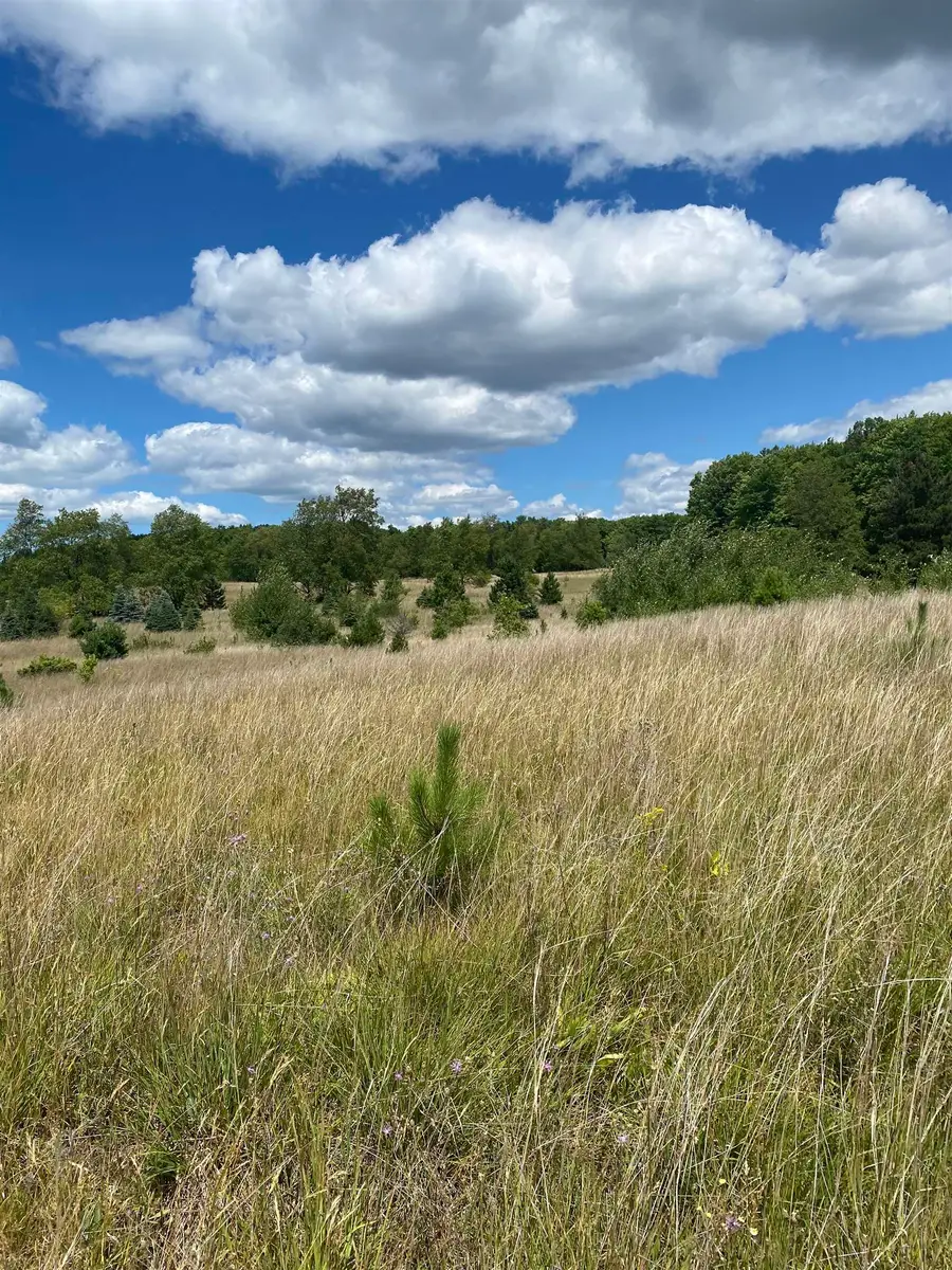 17.5 A Creighton, Boardman, MI 49680 - Image #2