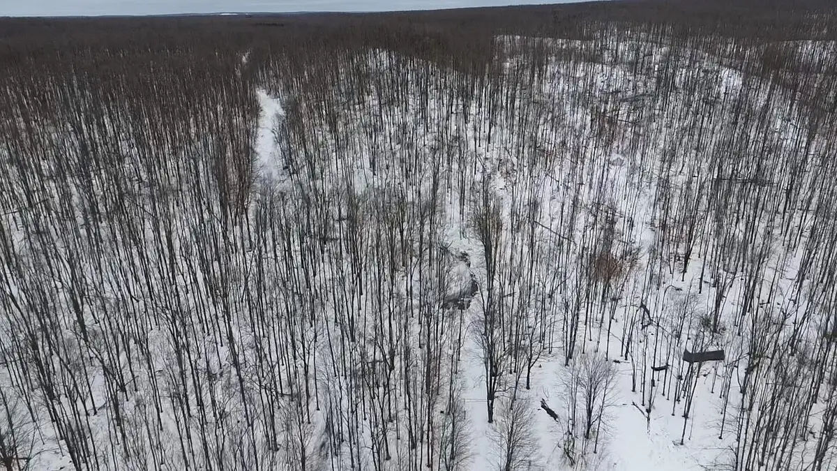 0 Dobleski, Elmira, MI 49730 - Image #1