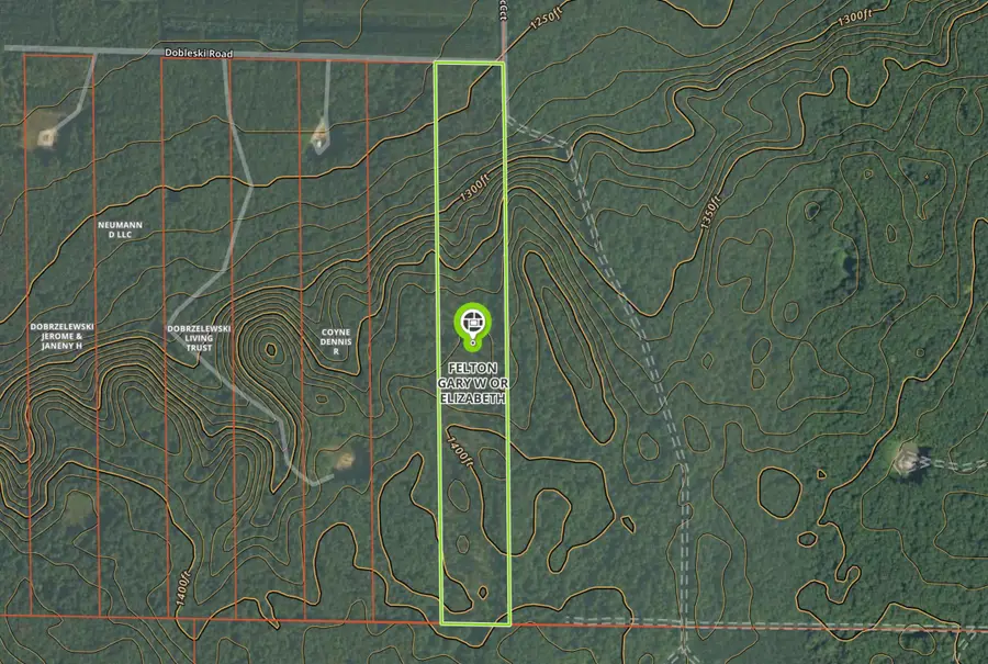 0 Dobleski, Elmira, MI 49730 - Image #2