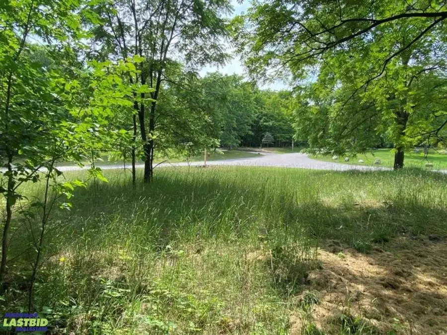 Lot 195 Troon South, Bellaire, MI 49615 - #3