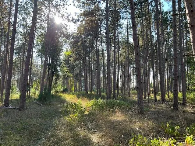 0 Samels RD, Williamsburg, MI 49690 - Image #1