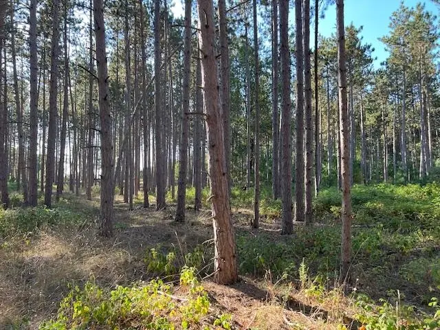 0 Samels RD, Williamsburg, MI 49690 - Image #3