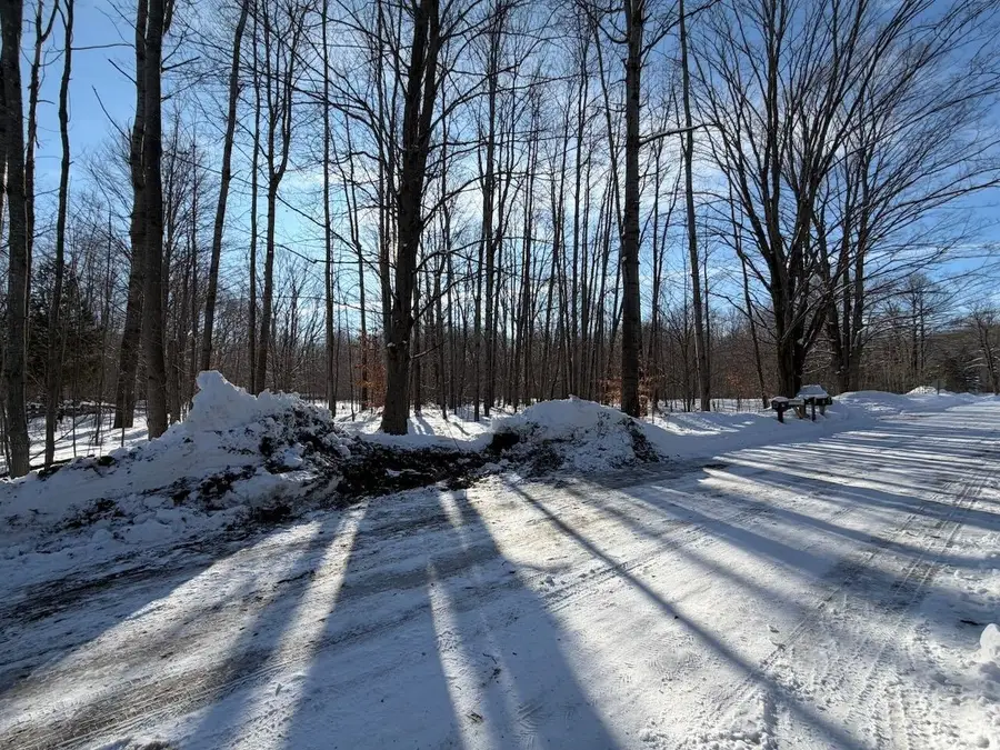 Lots 23,25,27 Muskie, Ellsworth, MI 49729 - Image #3