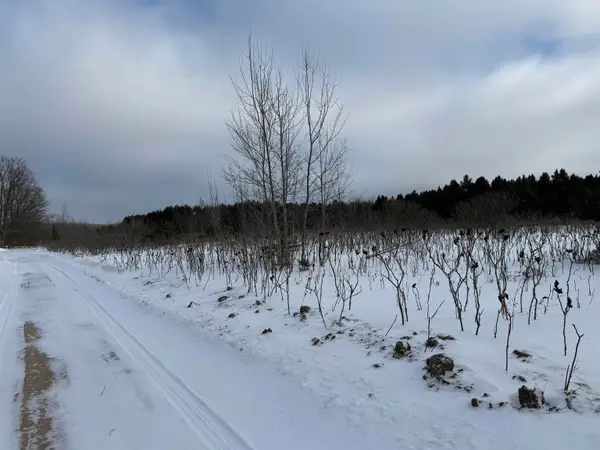 VL W Houghton Lake, LakeCity, MI 49651