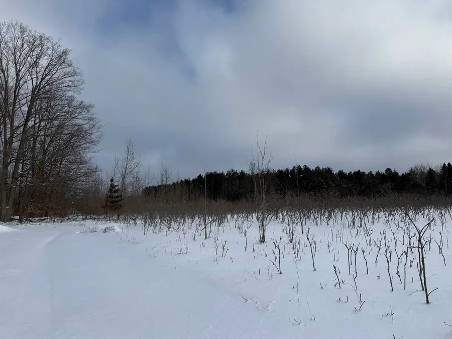 VL W Houghton Lake, Lake City, MI 49651 - Image #3