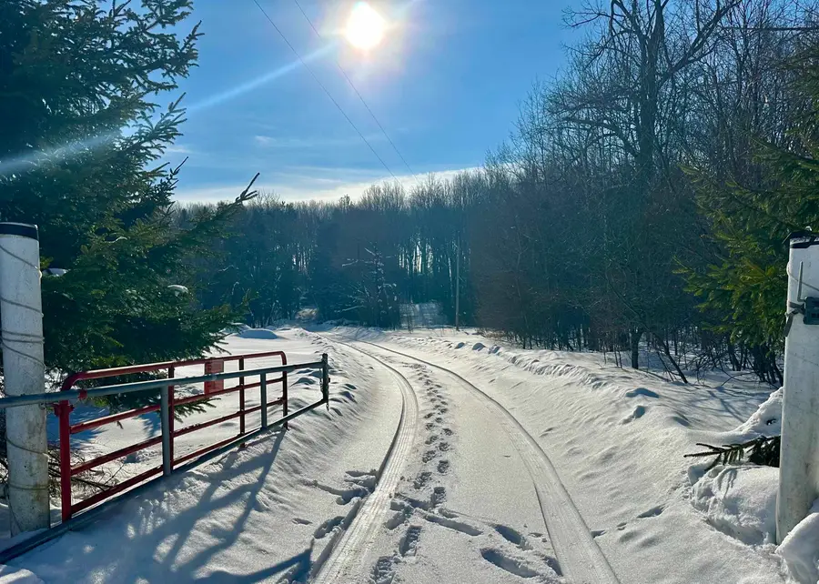 4141 Blackberry LN, Elmira, MI 49730 - Image #2