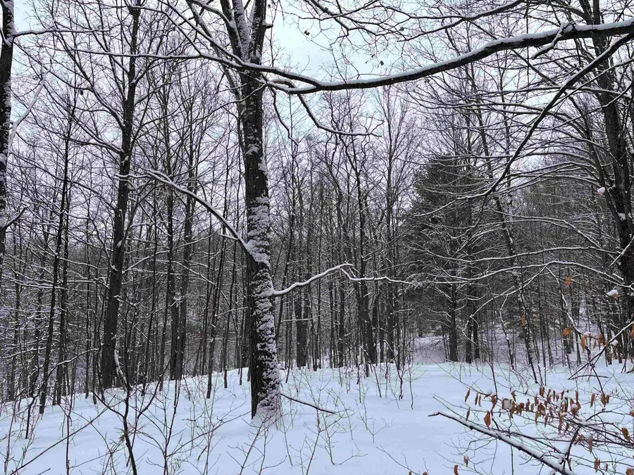 VL 10 Lake Louise RD, Interlochen, MI 49643 - Image #3