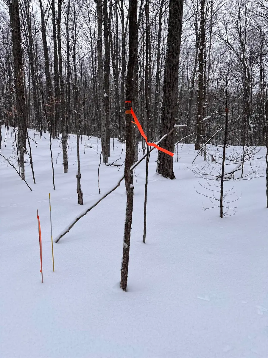 VL 22 Lake Louise RD, Interlochen, MI 49643 - Image #2