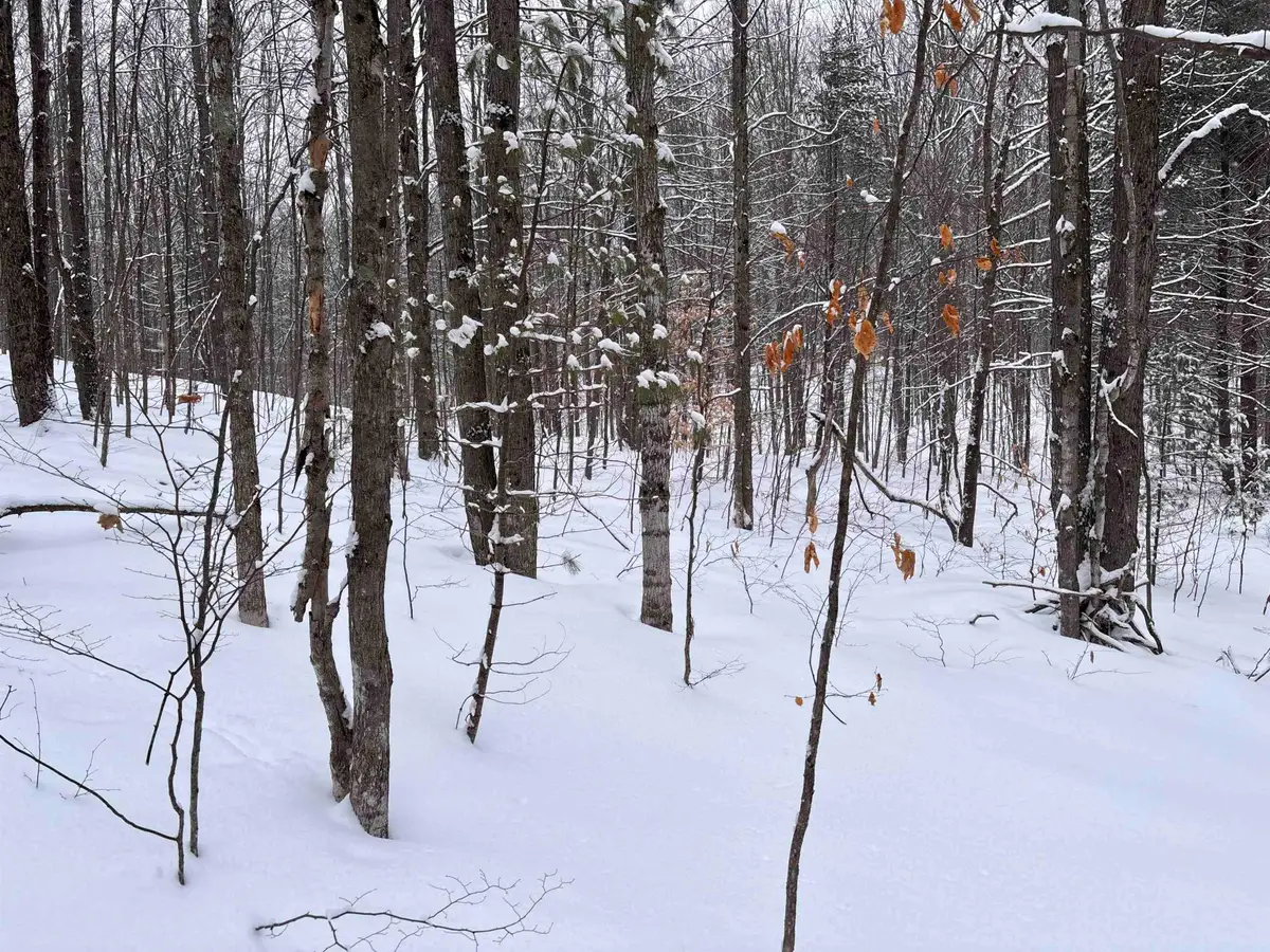 VL 23 Lake Louise RD, Interlochen, MI 49643 - Image #1