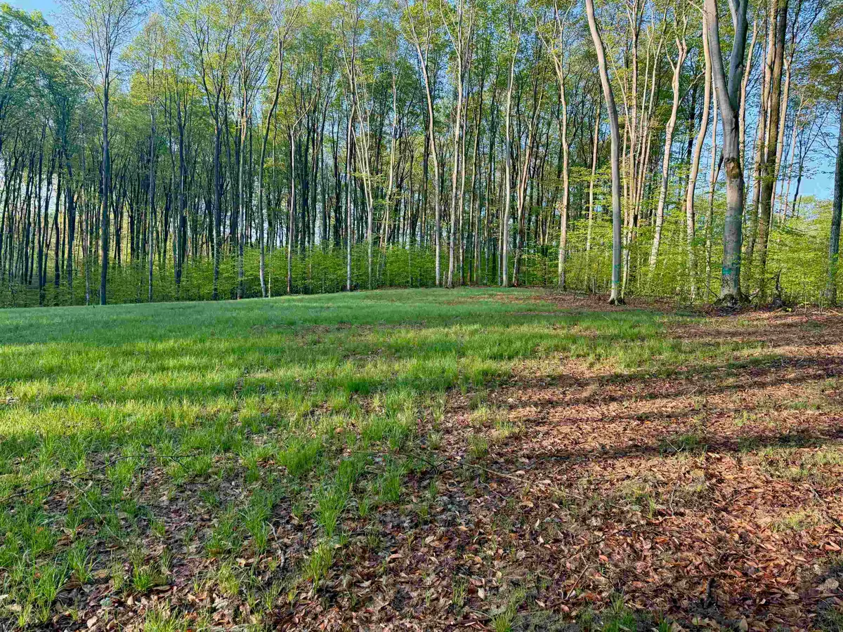 02 S Bright RD, Kasson, MI 49664 - Image #1