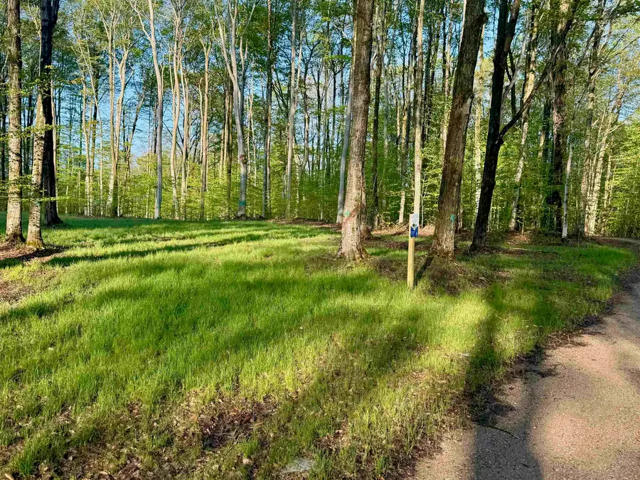 02 S Bright RD, Kasson, MI 49664 - Image #3