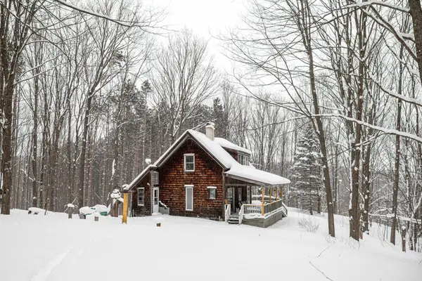 2995 S Schomberg RD, Cedar, MI 49621