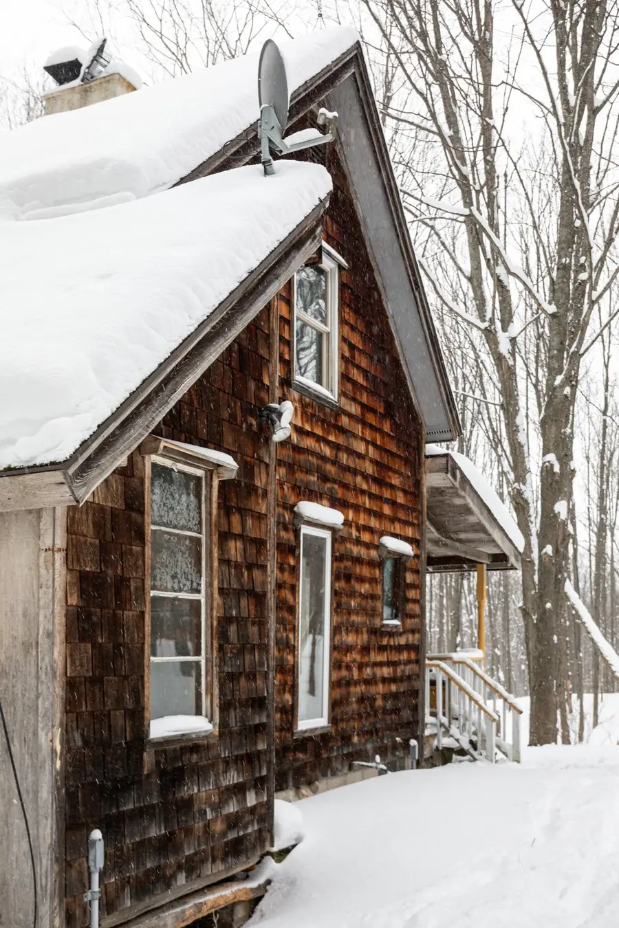 2995 S Schomberg RD, Cedar, MI 49621 - #3