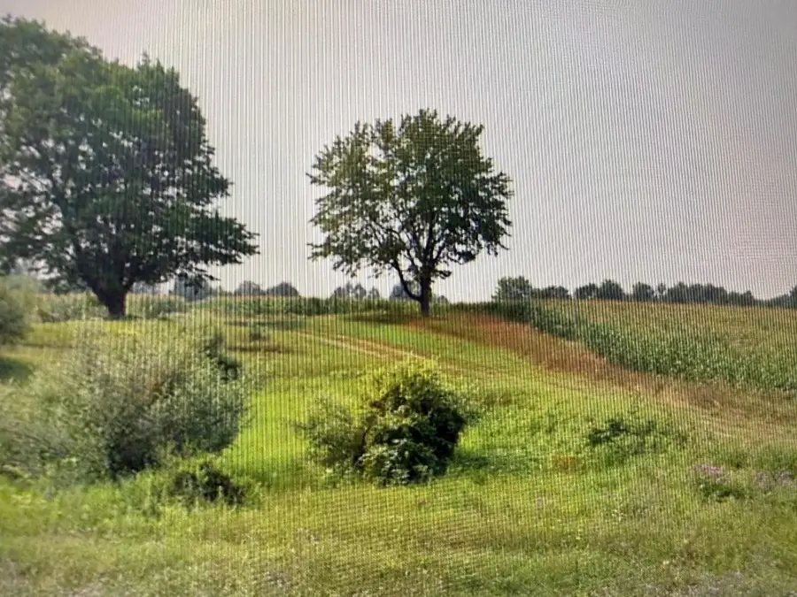 1330 Eden Hill RD, Beulah, MI 49617 - #3