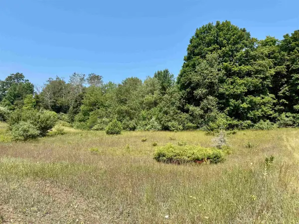 00 Alden Meadows, Alden, MI 49612