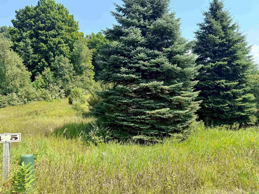 00 Alden Meadows, Alden, MI 49612 - #3