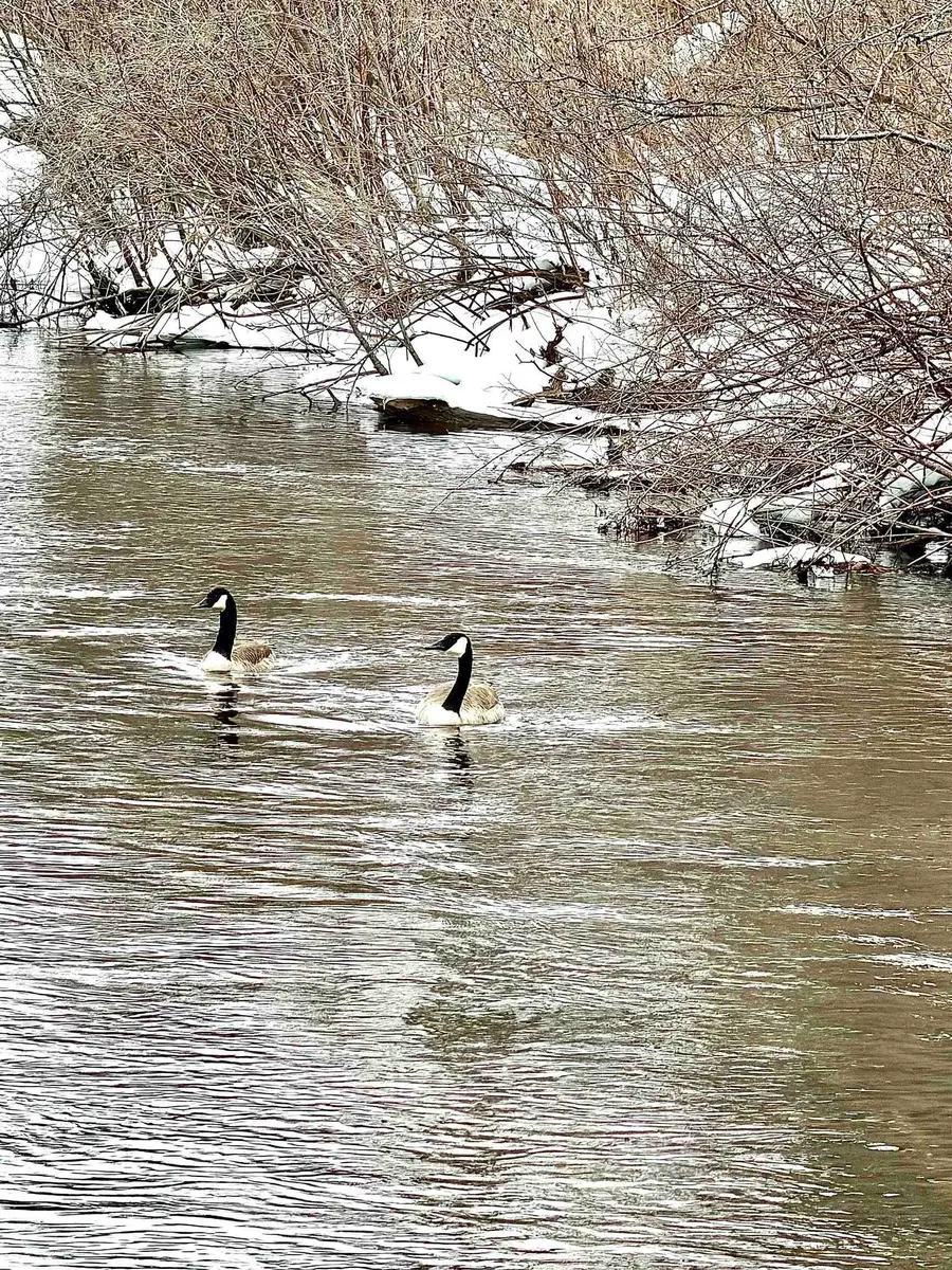 820 Boardman Acres DR, Blair, MI 49696 - #2