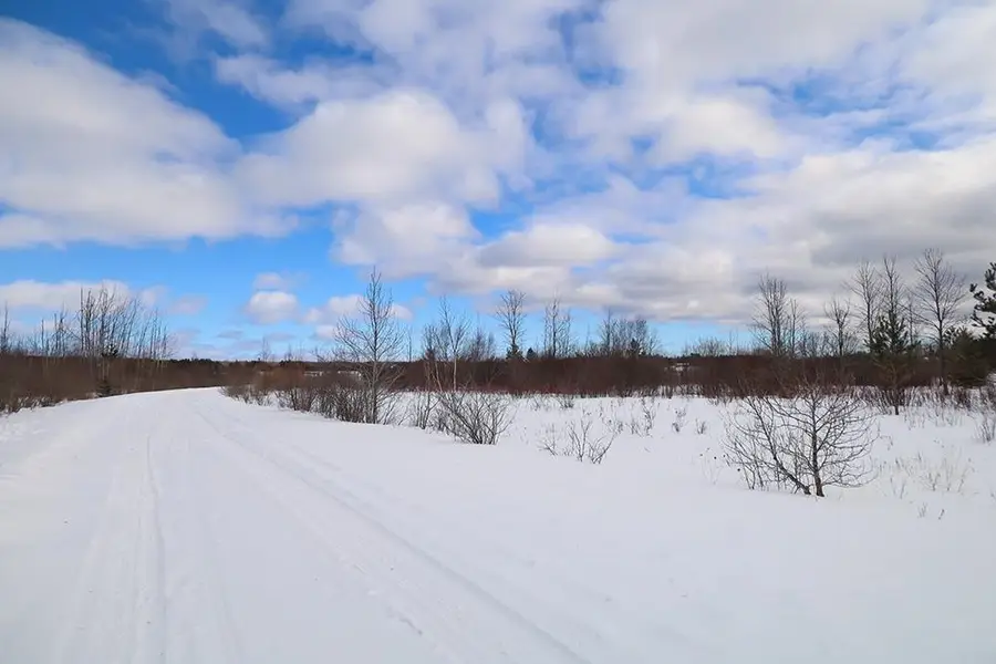 6412 Lora Bette, Alanson, MI 49706 - #3