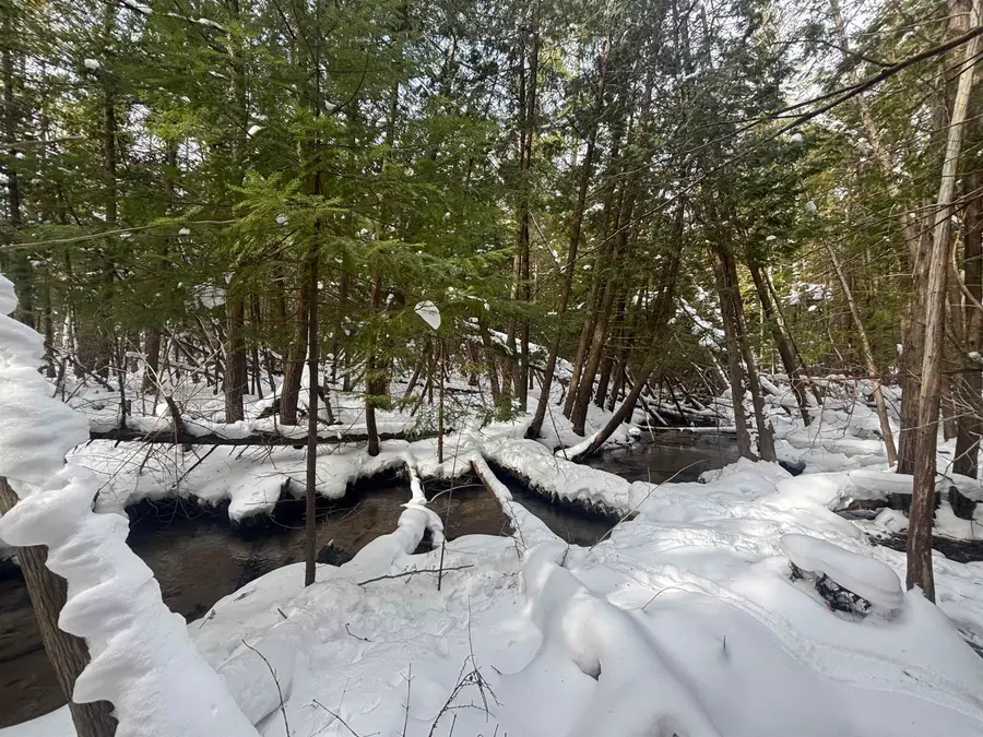 4715 Springbrook, Williamsburg, MI 49690 - #2