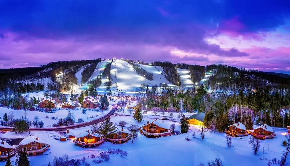 6520 Schuss Mountain, Mancelona, MI 49659 - #1