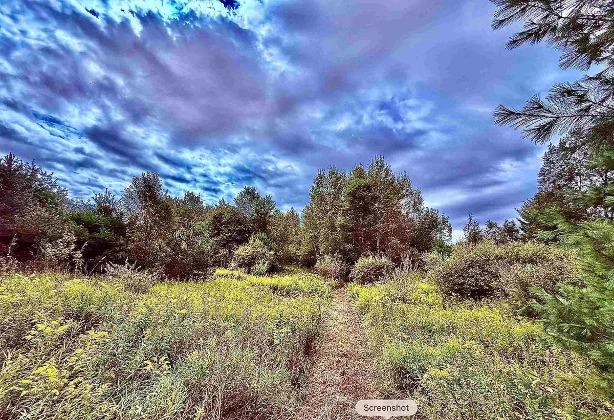 730 W M-113, Kingsley, MI 49649 - #1