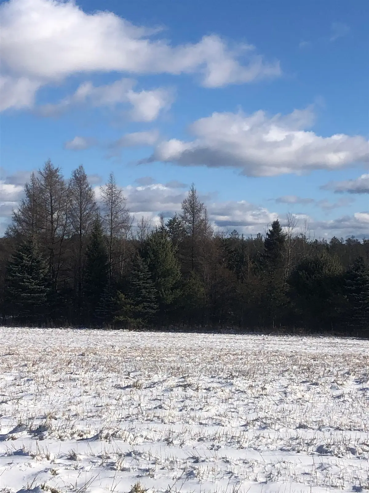 00 M-72, Kalkaska, MI 49646 - #1