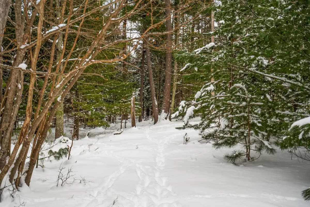 00 Business Park, Traverse City, MI 49686 - #1