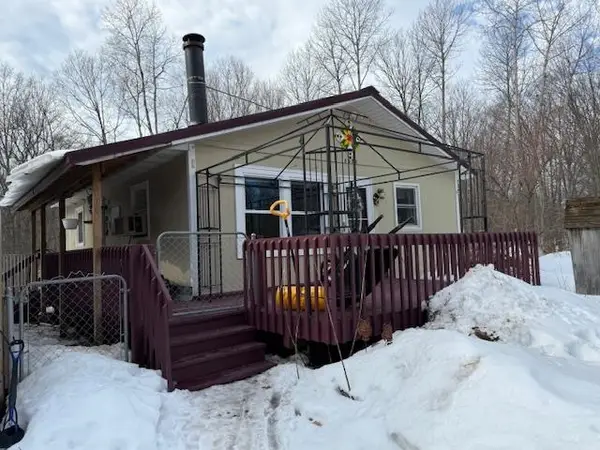 18575 Royena, Marion, MI 49665