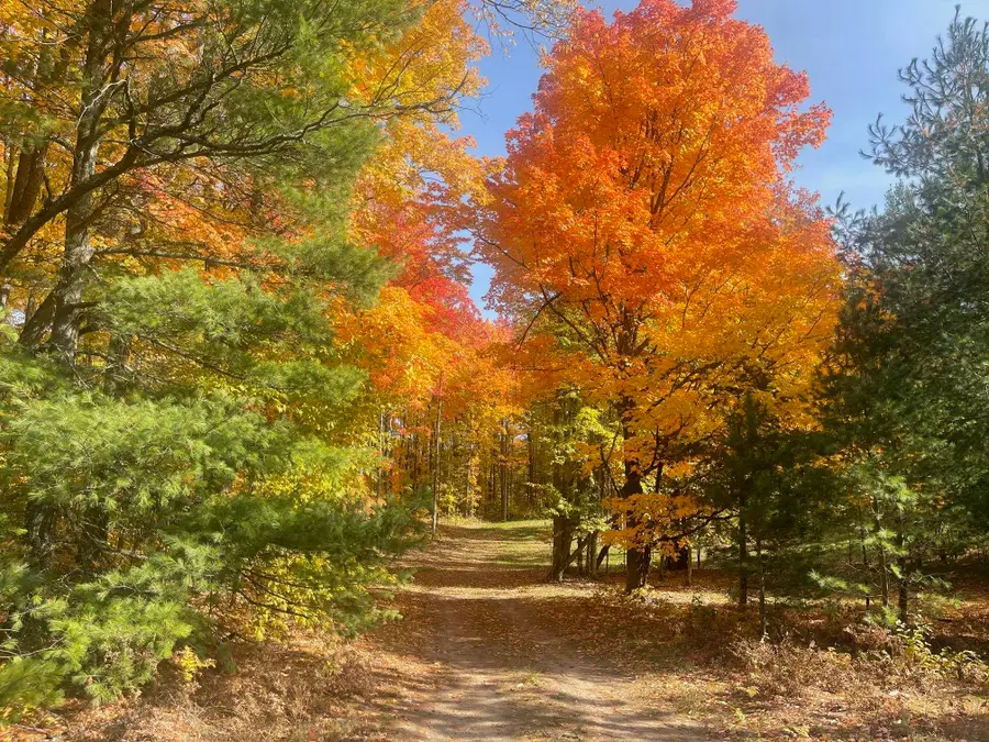 5803 SW Old Oak TRL, Springfield, MI 49633 - #3