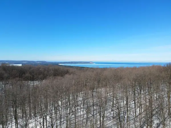 0 S Schomberg RD, Cedar, MI 49621