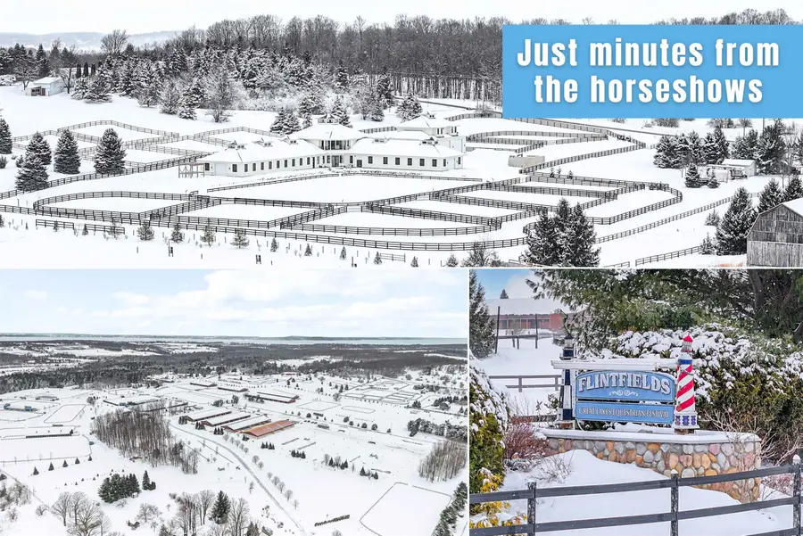 11055 French CT, Williamsburg, MI 49690 - #3