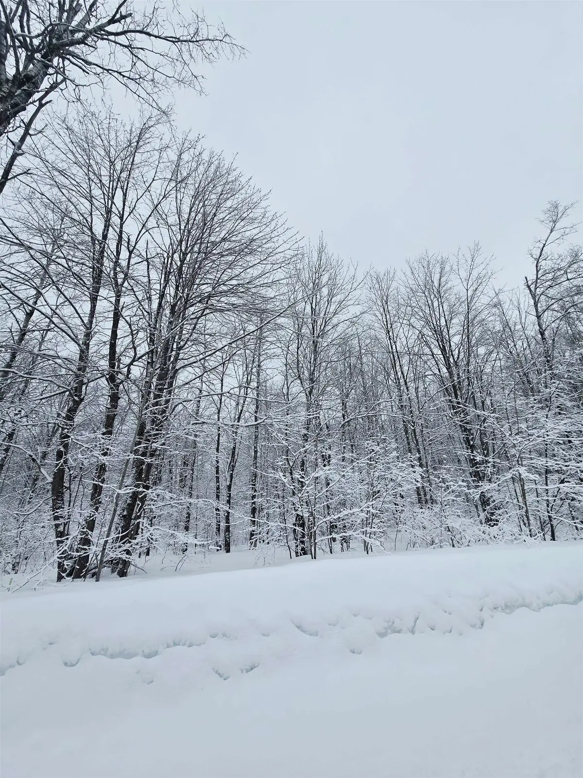 4647 Hillview DR, Elmira, MI 49730 - #1