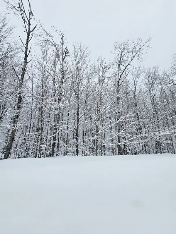 394 Pinedale DR, Elmira, MI 49730