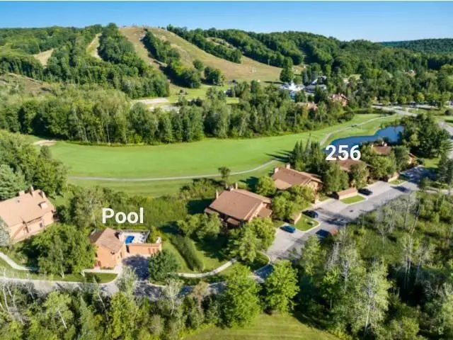 6658 Schuss Mountain LN, Mancelona, MI 49659 - #1