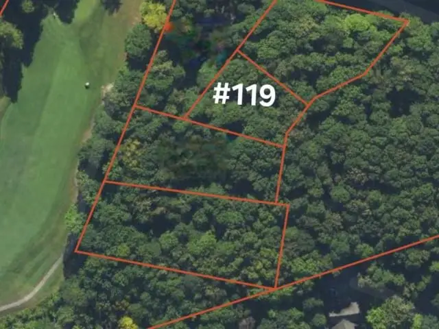 119 Legend, Bellaire, MI 49615 - #2