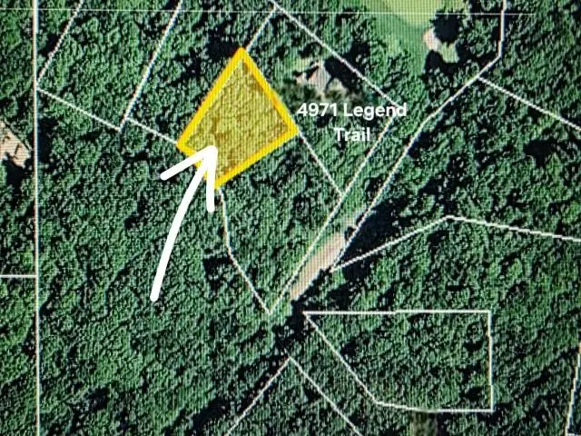 119 Legend, Bellaire, MI 49615 - #3