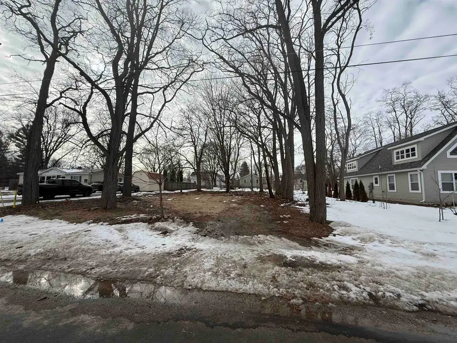 142 Charles, Elk Rapids, MI 49629 - #2