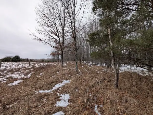 2370 S Coville, Mikado, MI 48745