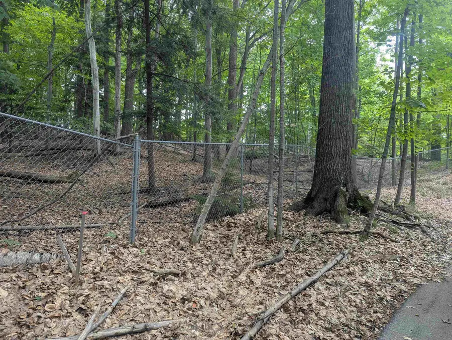 000 Peninsula Ridge DR, Peninsula, MI 49686 - #2