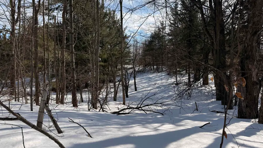 3328 Reycraft, Boyne City, MI 49712 - #2