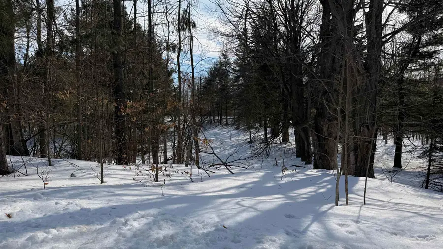 3328 Reycraft, Boyne City, MI 49712 - #3