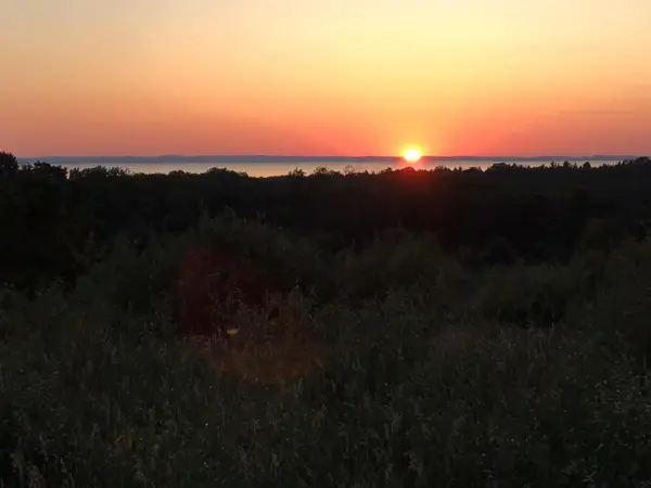 TBD Farrell, CentralLake, MI 49622