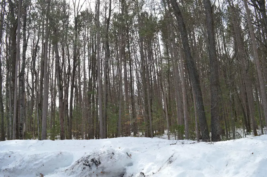 773 Golf Side DR, Kalkaska, MI 49646 - #2