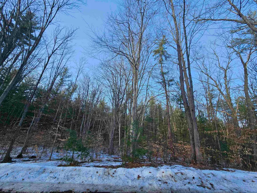 Lot 45 Woodwind DR, Cadillac, MI 49601 - #2
