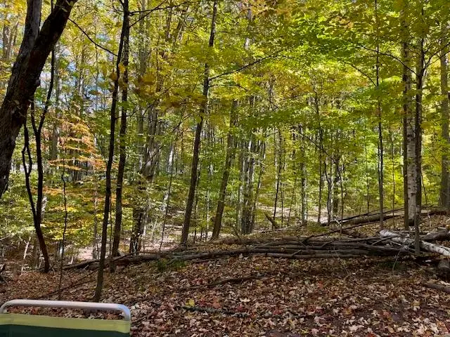 00 Glory, Frankfort, MI 49635 - #2